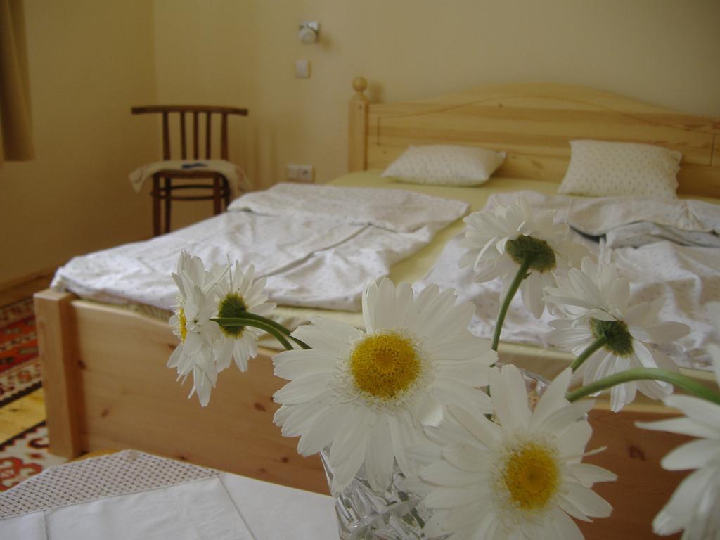 Oeroemvoelgy Vendeghaz Hotell Bozsva Rom bilde
